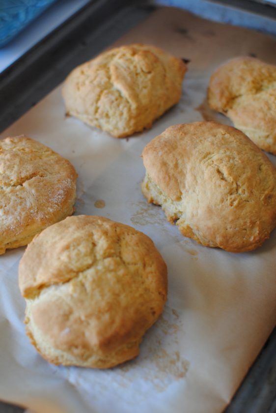 Recipe: Simply Awesome Biscuits