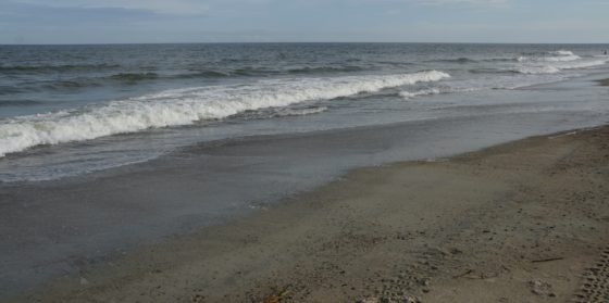 The waters of Tybee Beach. We spent about two hours wandering this expansive beach as the sun sank lower in the sky.